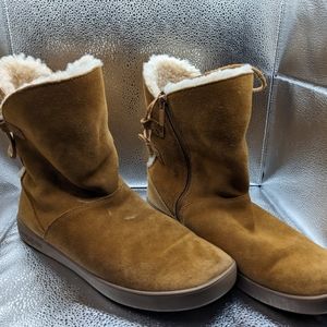 Kookaburra, 11, brown